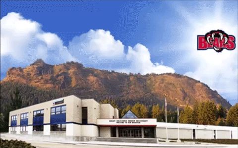 Animated MBSS Website Bear 480x300